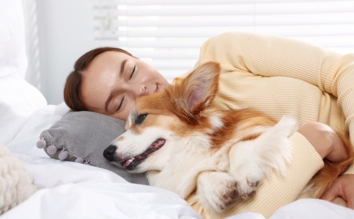 Dormir Con Mascotas: Beneficios Y Riesgos Para Tu Salud Y Calidad De Sueño