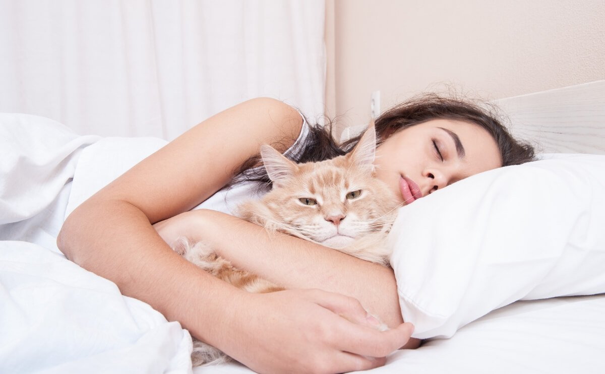Dormir Con Mascotas: Beneficios Y Riesgos Para Tu Salud Y Calidad De Sueño